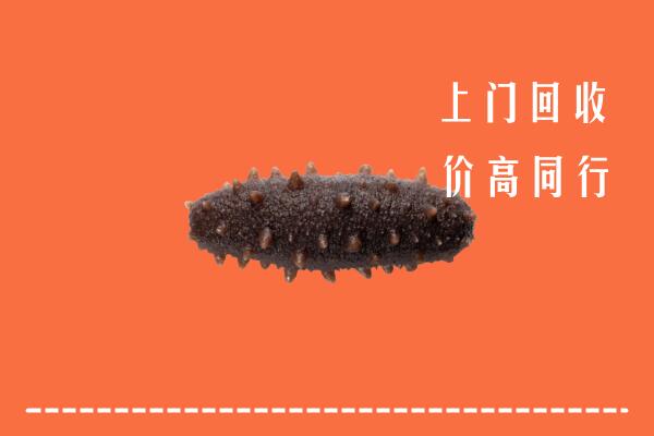 高价求购：台江区回收海参