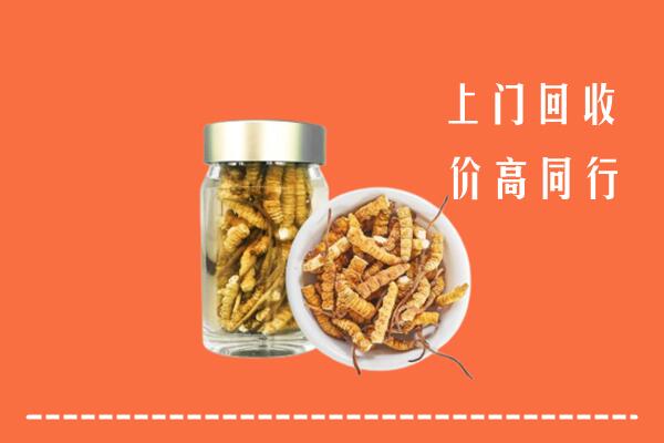台江区回收冬虫夏草