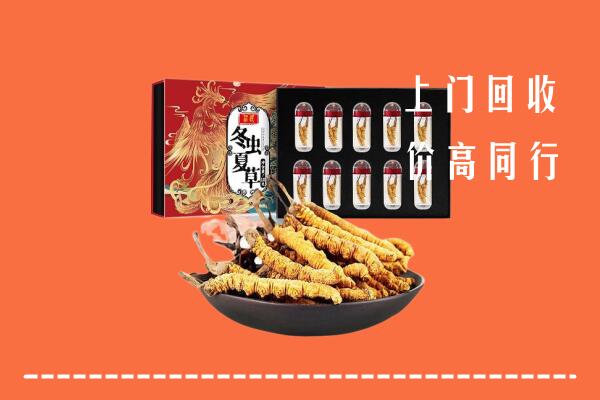 台江区回收虫草